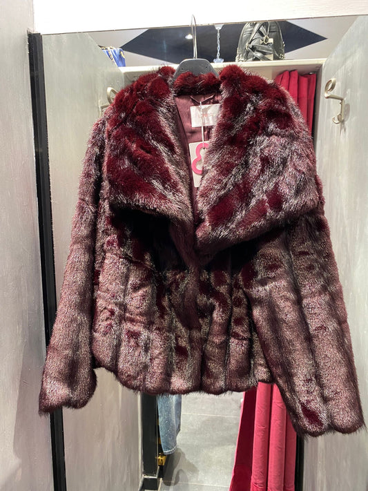 Visone rasato bordeaux